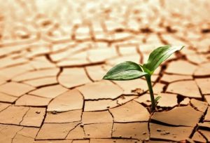 Crecimiento Personal